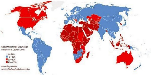Foreskin Restoration