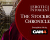 Erotic Stories #20: The Stockroom Chronicles