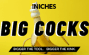 NICHES : Why ‘Big Cocks’ Content Stands Out