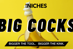 NICHES : Why ‘Big Cocks’ Content Stands Out