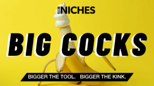 NICHES : Why ‘Big Cocks’ Content Stands Out