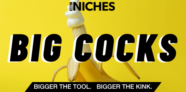 NICHES : Why ‘Big Cocks’ Content Stands Out