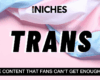 NICHES : Why Trans Content is Growing Rapidly in Popularity