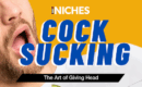 NICHES : Cock Sucking — It’s Not Hard to Understand Why This Content Is in Demand
