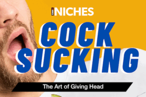 NICHES : Cock Sucking — It’s Not Hard to Understand Why This Content Is in Demand