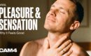 Anal Pleasure & Sensation: How It Works and Why It Feels Good