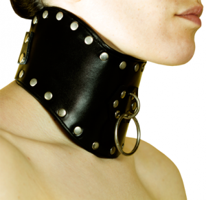 posture_collar_angled__24374-1427324413-1280-1280