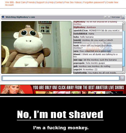 BigMonkeysCam_EAposter Shaved Monkey