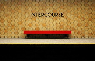 Couple Have Sex On Toronto’s Public Transit