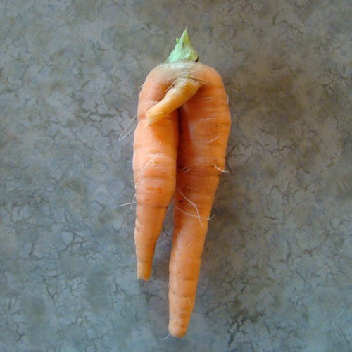 20eed02766e3ef66_carrot