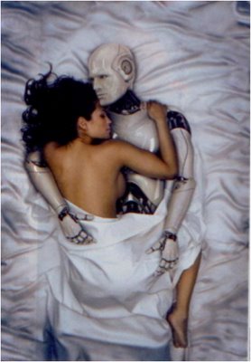 Robotic Prostitutes in the Near Future?