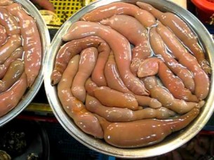 Who Wants Some Penis Fish?