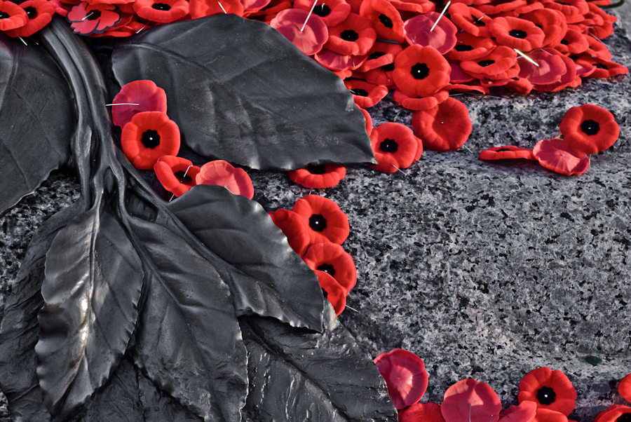 Lest We Forget: It’s Remembrance Day!