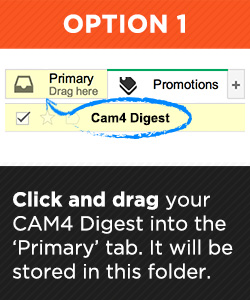 GmaillInboxNotification_250x300_Option1