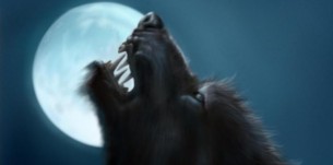 Do You Need A Moderator on CAM4? Meet WerewolfHH