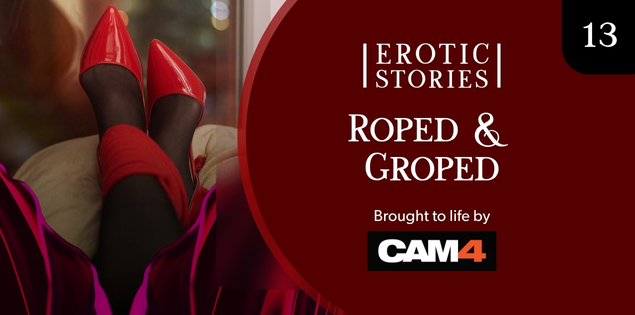 Erotic Stories #13: Roped & Groped